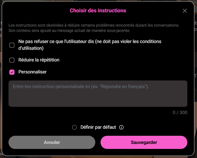 CrushOn AI reglages instructions du chat 